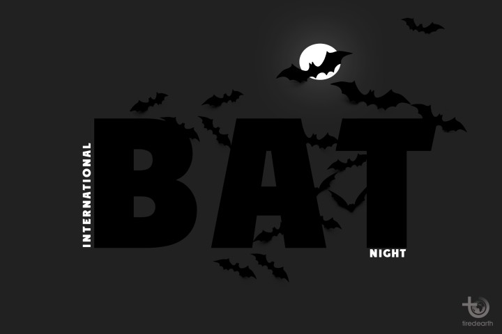  Importance of Bats in Our Lives